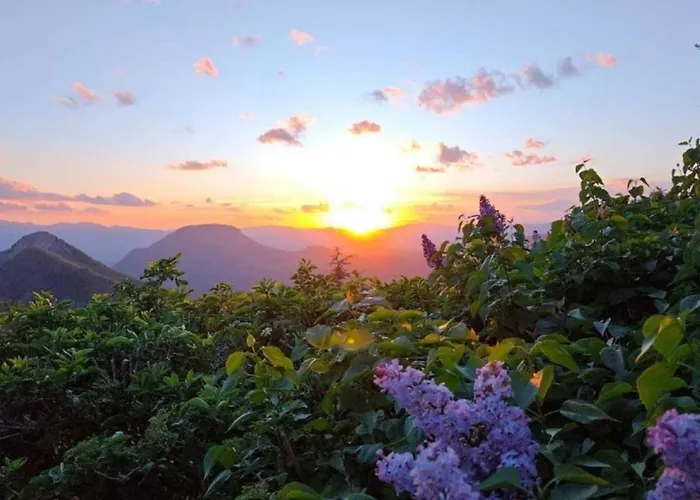 Hébergement de vacances L'eissame Valavoire